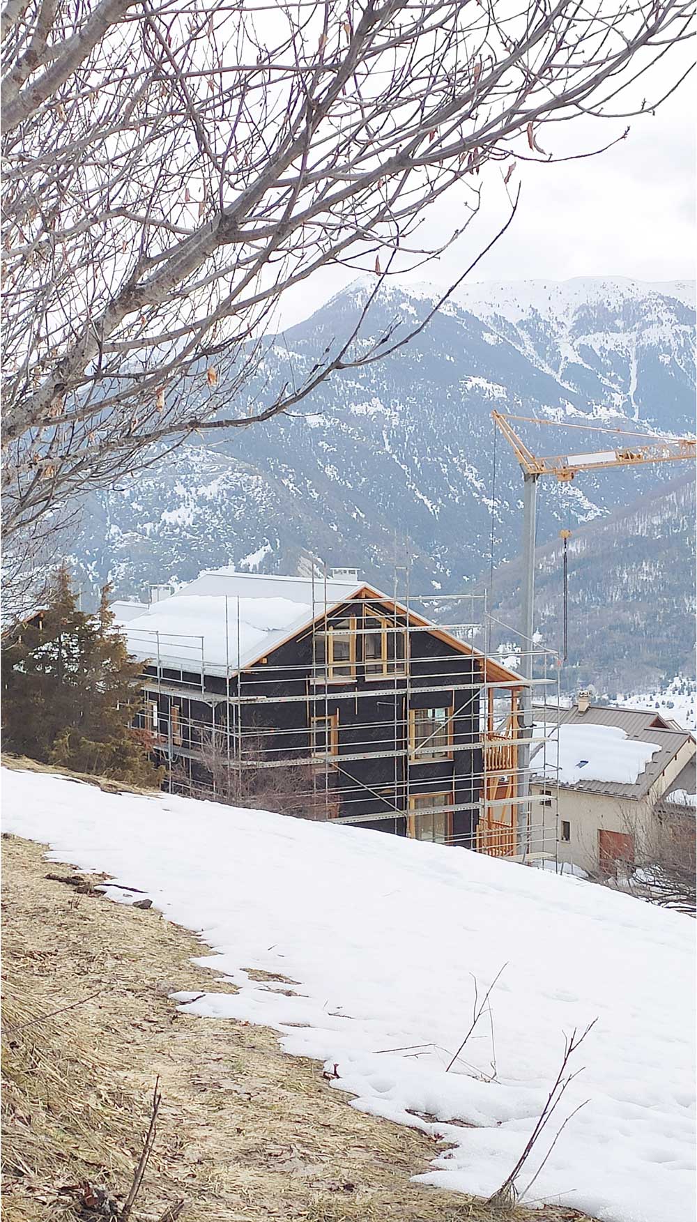 asilnes-0.jpg