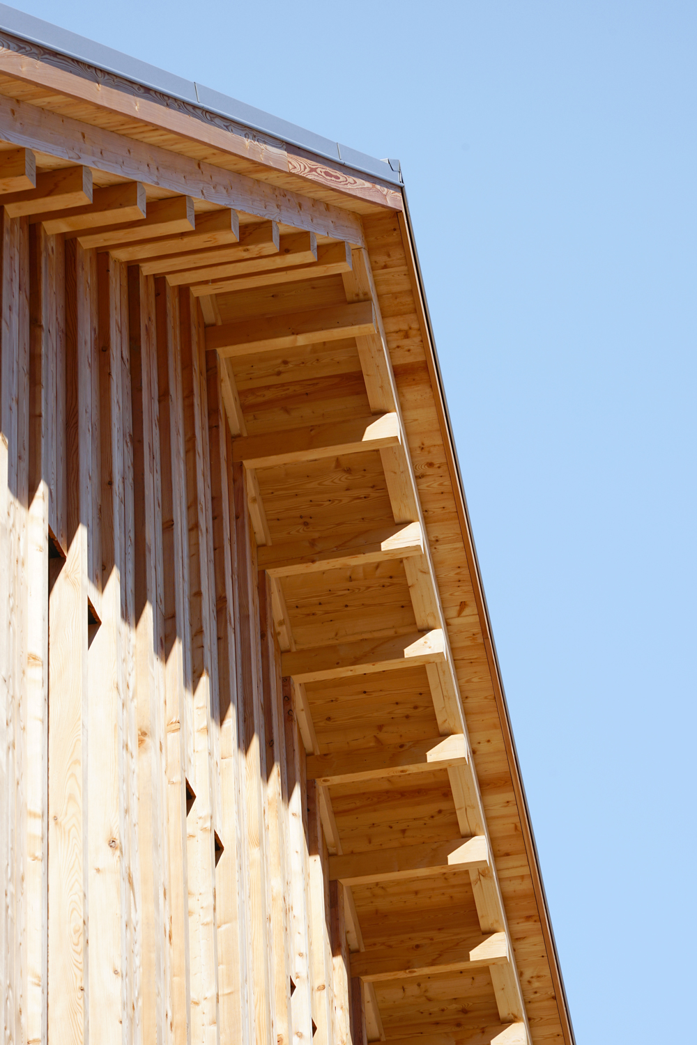 detail.jpg
