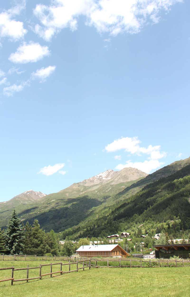paysage.jpg